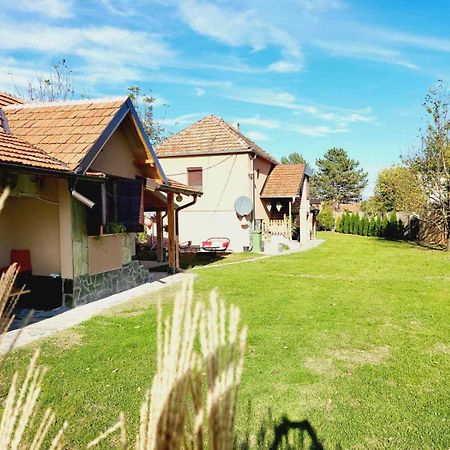Dvor Villa Donja Toponica Buitenkant foto