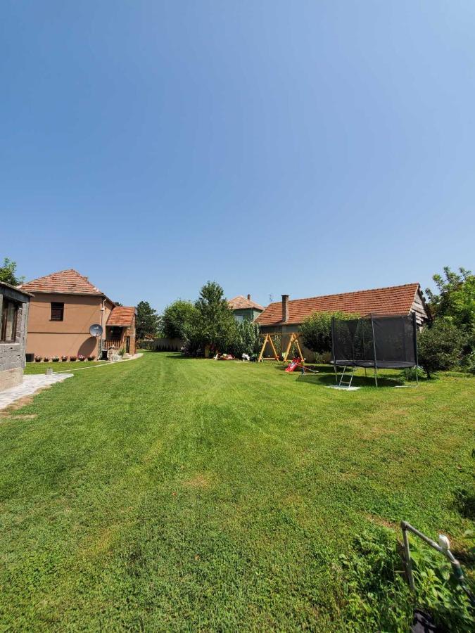 Dvor Villa Donja Toponica Buitenkant foto