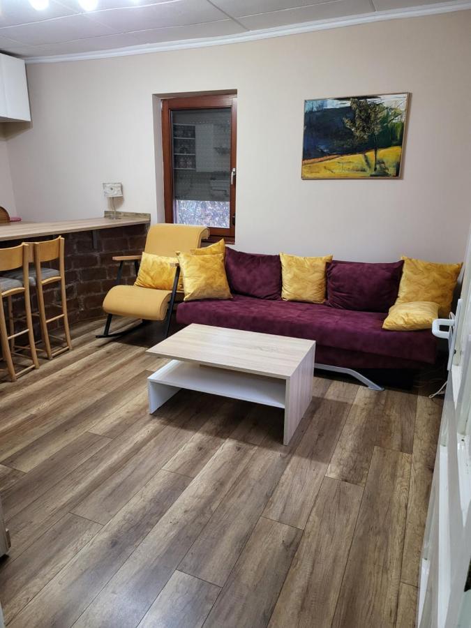 Dvor Villa Donja Toponica Buitenkant foto
