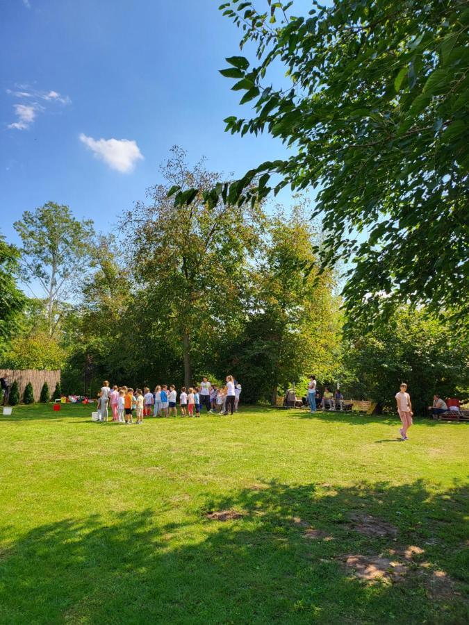 Dvor Villa Donja Toponica Buitenkant foto