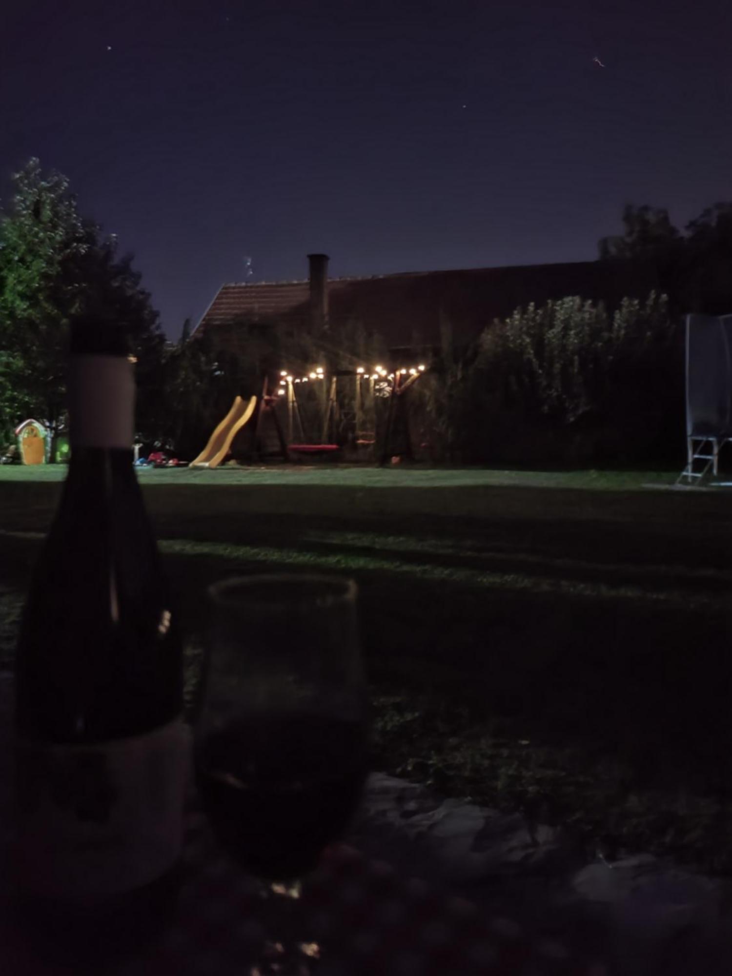Dvor Villa Donja Toponica Kamer foto