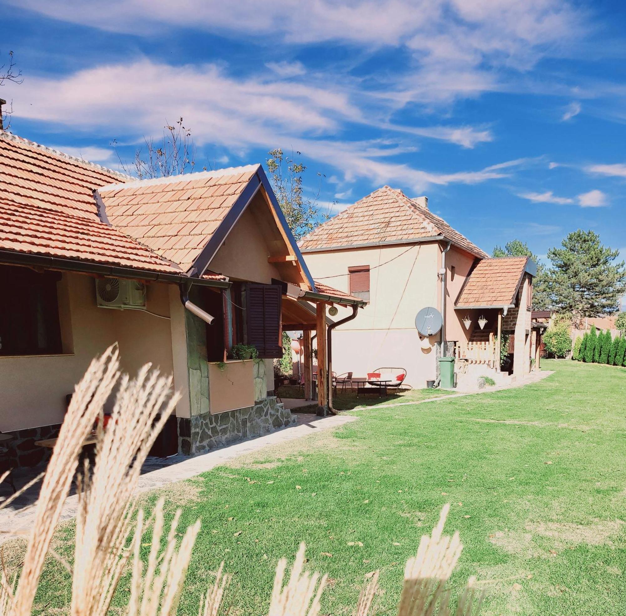 Dvor Villa Donja Toponica Buitenkant foto